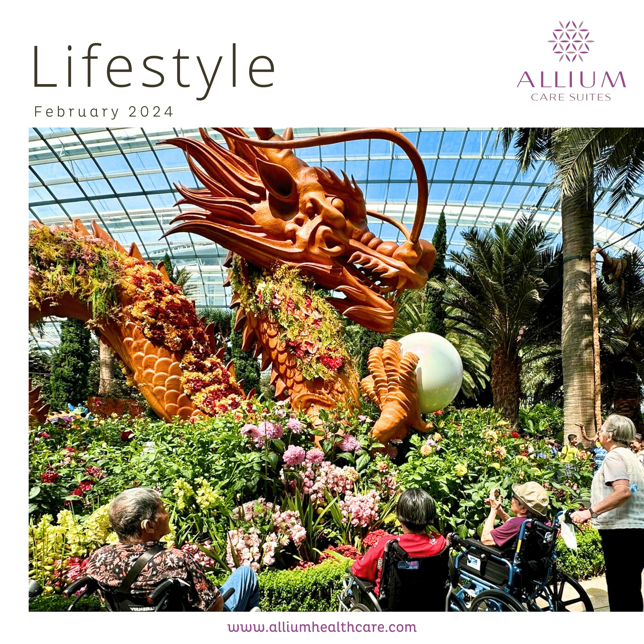 Dragons at Dahlia Dreams